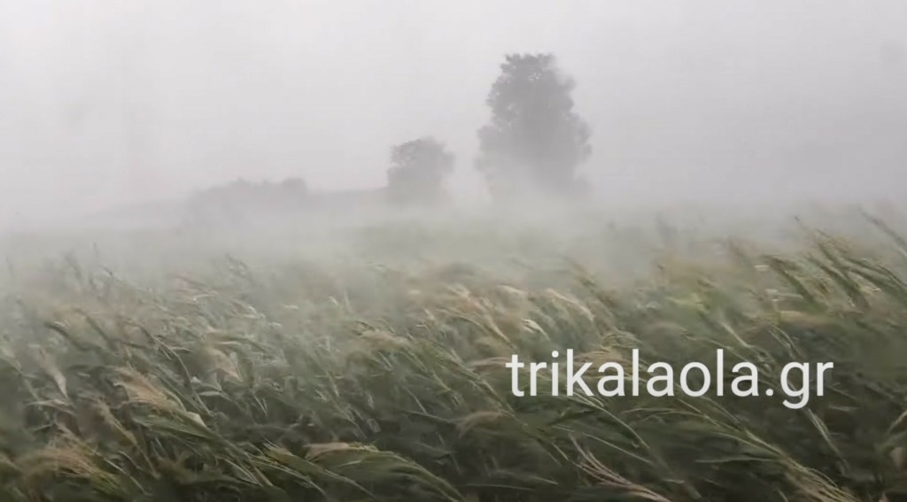 Η μανία της φύσης: Τρομερό μπουρίνι δέρνει καλλιέργειες στα Τρίκαλα (βίντεο)